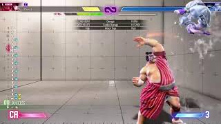 sumo bbc - testing DS5E binds