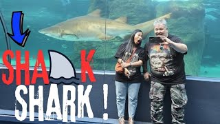 SHARKS !!! 🦈 | TWO OCEANS AQUARIUM | V&A WATERFRONT | CAPE TOWN | SOUTH AFRICA 🇿🇦