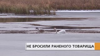 НЕ БРОСИЛИ РАНЕНОГО ТОВАРИЩА.