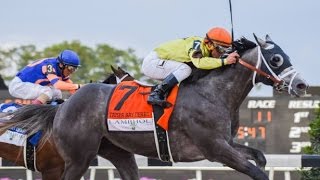 2016 Tampa Bay Derby