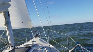 Adelaar's first sail November