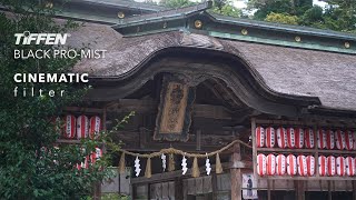 รีวิว TIFFEN Black Pro Mist 1/4 Video Footage Shot on SONY A7IV - Osaki Hachimangu Shrine Sendai