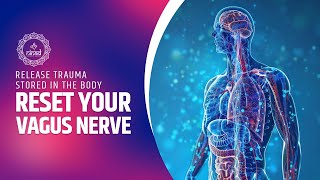 Reset Your Vagus Nerve | Release Trauma Stored In The Body | Destress Your Body | Vagal Tone