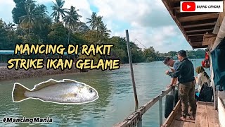 mancing di Rakit Batam 2023 #mancingmania #mancing #mancingikan #fishing #batam