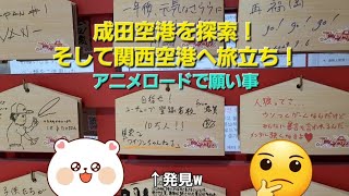 成田空港を探索！前日は東京でちいかわグッズを探して翌日は大阪のちいかわらんどへ！その合間の動画