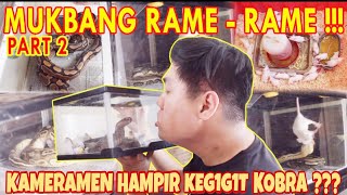 KASIH MAKAN SEMUA HEWAN DISINI PART 2 !!! ULAR HASIL RESCUE UDAH MAU MAKAN NIHHH....