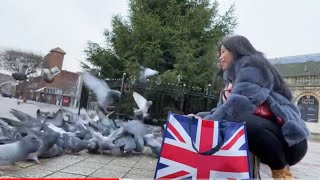 Feeding the Pigeons at Market Square Lincoln England/  Our 3rd  National Lockdown