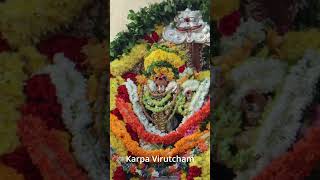 Vlog 53 | Mylapore Kapaleeswarar Lord Siva #Darshanam #shorts #ytshorts #ashortaday #pradhosam