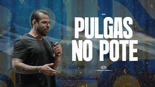 PR. FABIANO ZETTEL - PULGAS NO POTE