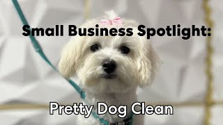 How Pretty Dog Clean Grows with Gusto