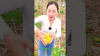 mango fruit cutting in the morning