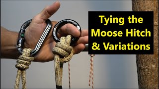 Tying the Moose Hitch & Variants