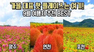 국내 여행 추천 놓치면 후회할 9월 가을 여행 명소 연천 포천 양주 BEST 3