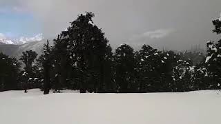 Chopta Town received about 4 feet snowfalls in this month.