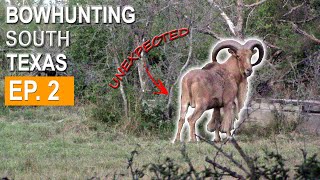 An UNEXPECTED GUEST: Weekend in 5 | South Texas Deer Hunting EP. 2