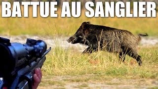 Chasse en battue au sanglier - Avec Dindin et Nounours