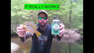 RIPPING LIPS & TAKING SIPS WITH THE CHILL N REEL *CREEK FISHING*