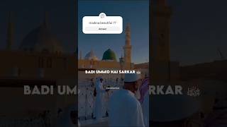 Madina Sharif Status || Ajmal Raza Qadri #ytshorts #shortsfeed #shorts #ajmalrazaqadri