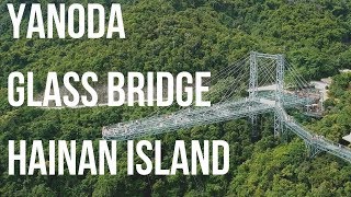 YaNoDa Rainforest Glass Bridge and Zipline