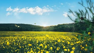 "SOUND OF SPRING" Beautiful relaxing music, peaceful soothing instrumental music