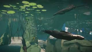 Planet Zoo - Aquatic Pack trailer