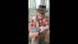 Turkey Shell Call shown by Ken Beam | Indian-style Homemade Turkey Call