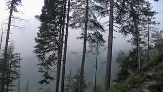 Monsoon in Mussoorie