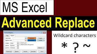 Advanced Replace |Wild Card & Replace |Format Cells/ XL Maza