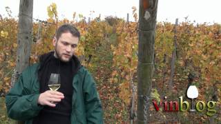 Alsace Grand Cru Kastelberg