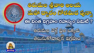 తిరుమలలో ఈ విగ్రహ రహస్యం ఏమిటి ? | Thirumala chakra snanam | sudharshana chakram story #ttdtemple