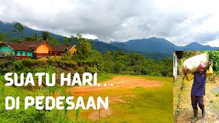 Ternyata, Segarnya Alam Sunda | 4K