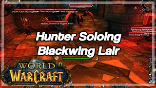 [World of Warcraft] Hunter Soloing Blackwing Lair, All Bosses