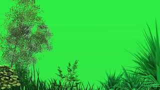 Green Screen trees blowing in the wind | Trending Green Screen Status Video | 4k green screen Status