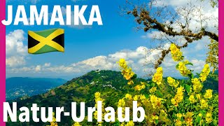 Jamaika Urlaub 🇯🇲 im Einklang mit der Natur. Seid ihr bereit?  ✅  Kommt jetzt mit uns nach Jamaika