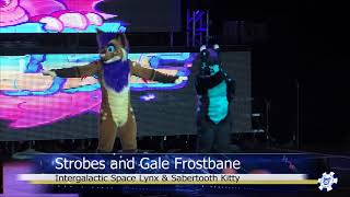 BLFC 2017 FCDA Gale & Strobes