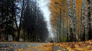 Листопад  / leaf fall