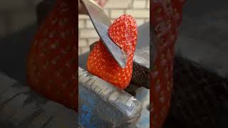 Strawberry VS hot knife #shorts #satisfying #strawberry #knife