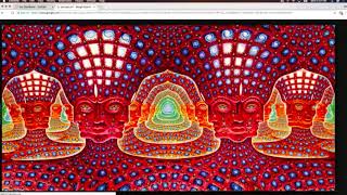 Joe Rogan loves saying DMT