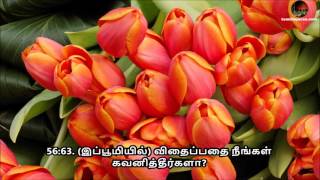 Tamil Quran - Sura 56 Al-Waqia (ஸூரத்துல் வாகிஆ)