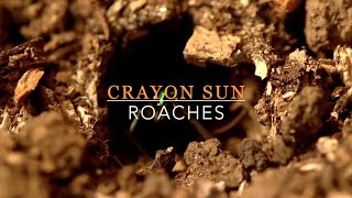 Crayon Sun : Roaches