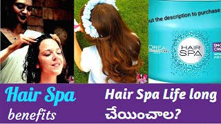 Benefits of Hair Spa | Steps followed in Parlour | Flax Seed Gel Preparation and Uses | ushadiaries