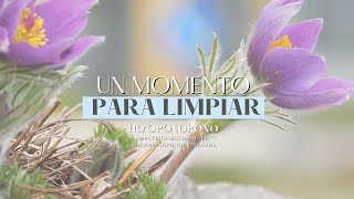 #hooponopono Patricia Buchhalter: Compartimos un momento de Limpieza.