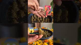 |DIY| Homemade dhoop for pooja|घर पे खुद से बनायें धूप🙏🏻| #shorts #diy #craft #homemade #viral