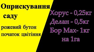 Оприскування саду рожевий бутон, початок цвітіння, Делан, хорус, bor Мax