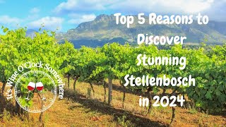 Top 5 Reasons to Discover Stunning Stellenbosch in 2024