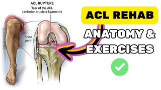 DO THIS FOR ACL REHAB 🛠️