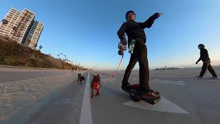 Onewheel Pint ride with dogs from Long Beach pier