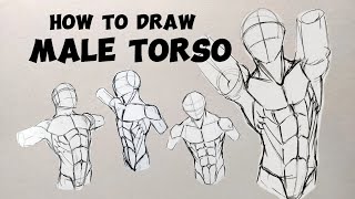 How To Draw The Male Torso (Step by Step)