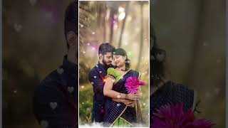 Deewani Deewana | CG Song | CG Video | Status Video | Short Video | #youtubeshorts #youtube #viral