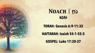 Parashat Noach | OAM Shabbat Fellowship 10-29-22